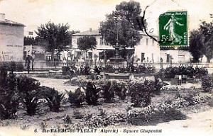 Sainte-Barbe-du-Tlelat - Square Chapoutot
